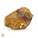 0215-0398 – Pinus balsamea – resin_B Balsam Fir (Abies balsamea) - Incense Resin from France
