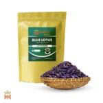 0295-2231 – Nymphaea caerulea – flowers cut Cut Blue Lotus Flower (Nymphaea Caerulea) - From Thailand