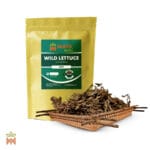 0286 - Wild Lettuce (Lactuca Virosa) - Cut Leaves from France