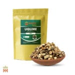 0948-4545 – Rhus pauciflorus – root, cut