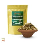 1294-2355 – Nymphaea ampla – flowers cut