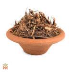 1037-250 (90X90) Cat's Claw (Uncaria tomentosa) -SHREDDED Vine from Brazil_B